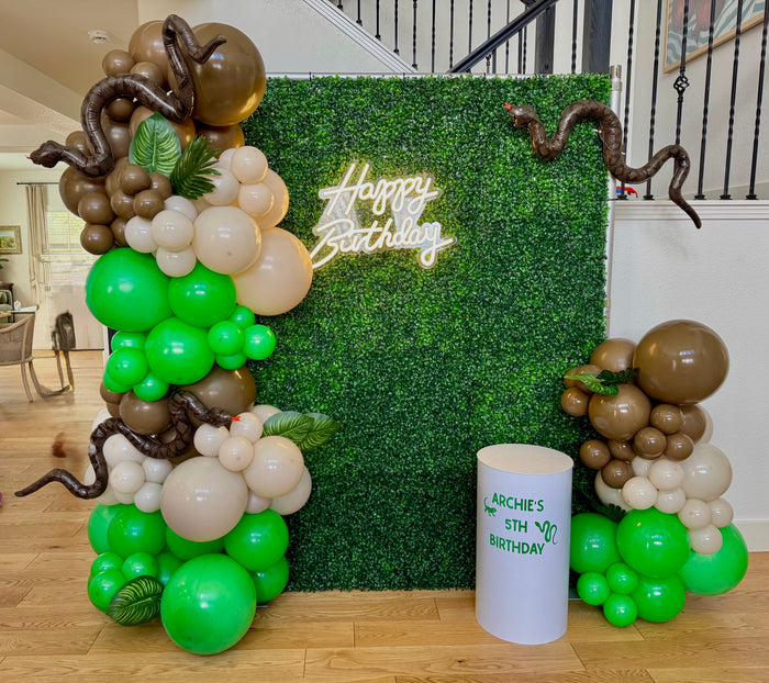 Balloon Installs & Backdrop